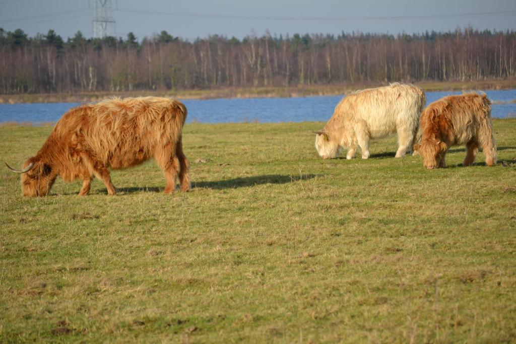 Auberge De Moerse Hoeve Esterno foto