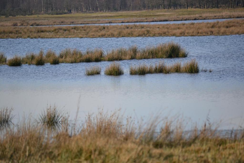 Auberge De Moerse Hoeve Esterno foto