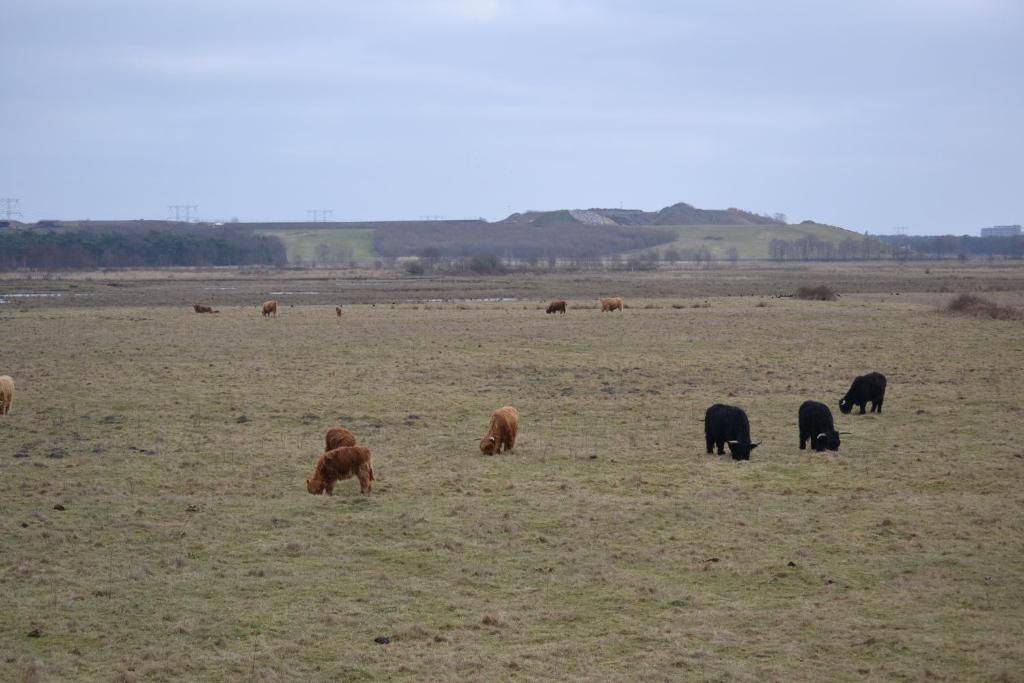 Auberge De Moerse Hoeve Esterno foto